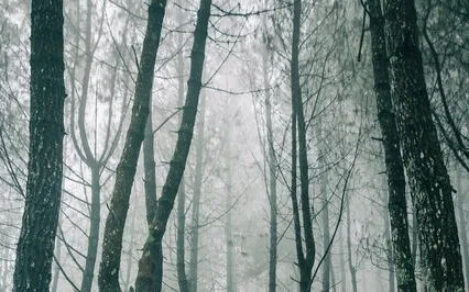 Energetic Love & Attraction Frequency - 432Hz & 639Hz Music