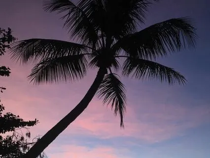 Energetic Match Manifestation Meditation