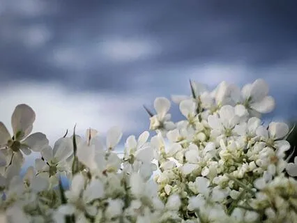 Energetic Reset: Release What No Longer Serves You