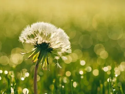 Energetic Shower - Quick Energy Clearing With Chimes