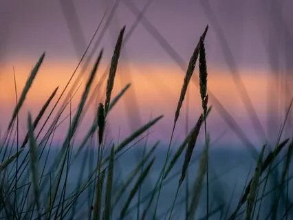 Energetic Strategies To Create Perfect Sleep