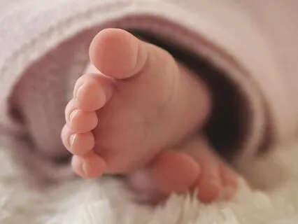 Energetics Of Conception