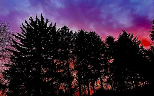 Energetics, Self Forgiveness ~ Serenity Wellness Podcast E72