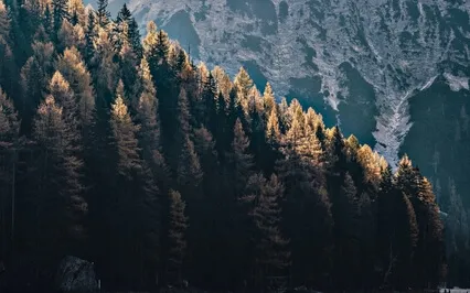 Energijos atstatymo meditacija