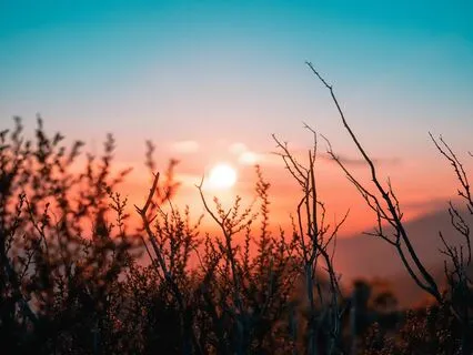 Energise Your Day Meditation