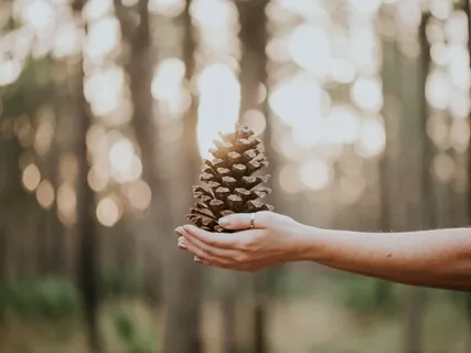 Energising Body Scan