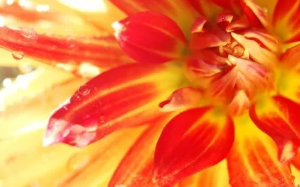 Energize With Breath Of Fire 