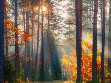 3-Minute Morning Affirmations To Energize Your Day