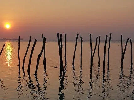 Energize Your Morning - 5 Minute Routine