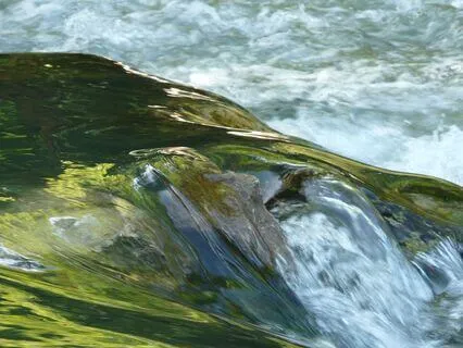 Energized & Calm: Reset Your State