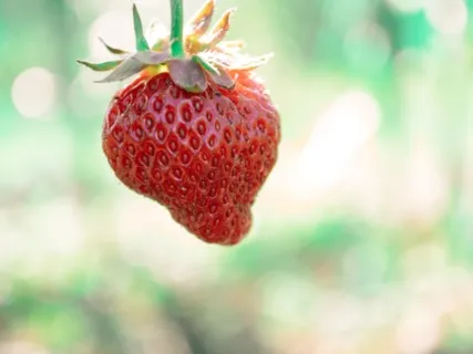 Energizing Abundance Affirmations