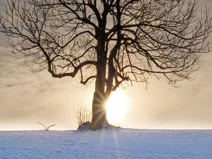 Energizing Breathwork To Nurture Your Inner Flame