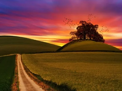 Energising Morning Exercise