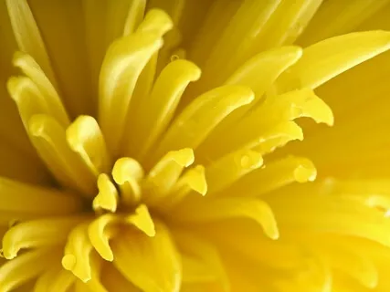 Energizing Morning Mindset For Self- Confidence