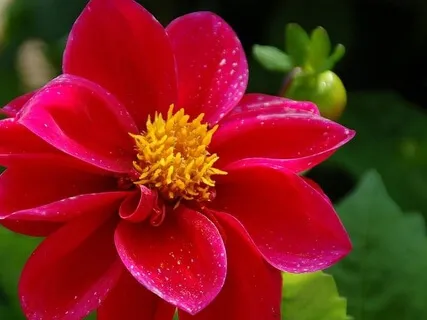 Energizing Our Root Chakra With Love