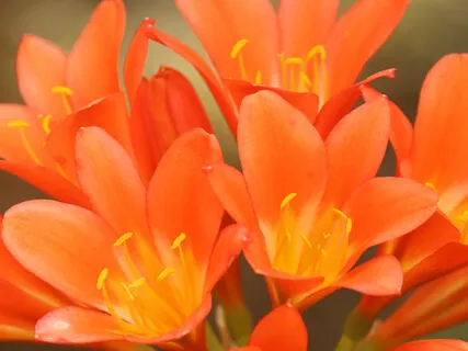 Energizing Our Sacral Chakra With Love