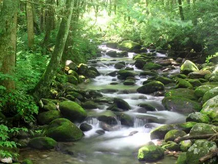 Energizing Soundscape: Babbling Brook + Binaural Beta Wave