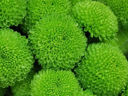 Energizing The Heart Chakra With Love