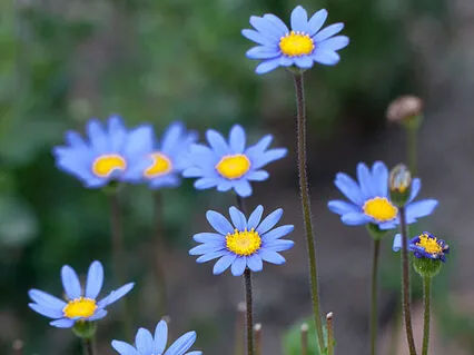 Energizing The Throat Chakra With Love