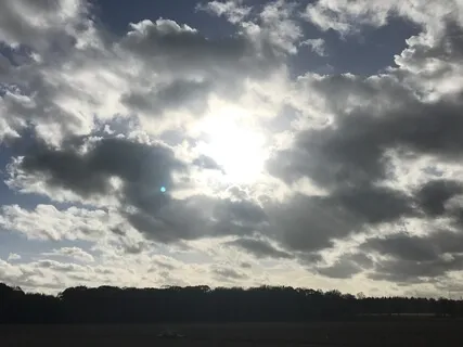 Energumeni [All Is Energy]