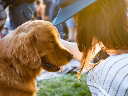 Energy Affirmations (With Wags)