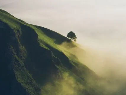 Energy Alchemy - Release, Reclaim, Embody