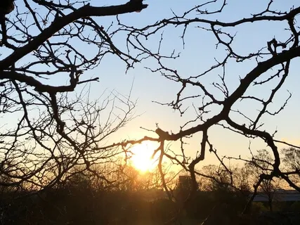 Energy Boost Meditation