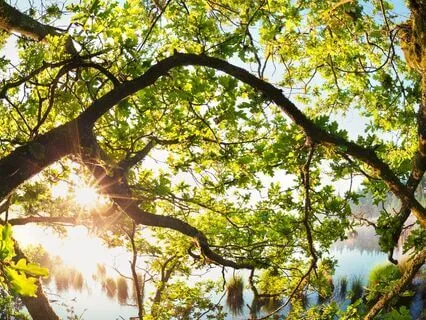 Energy Calm: Stress-Free Renewal