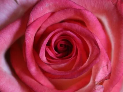 Energy Circulation Meditation