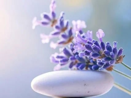 Energy Cleanse And Nervous System Reset Meditation