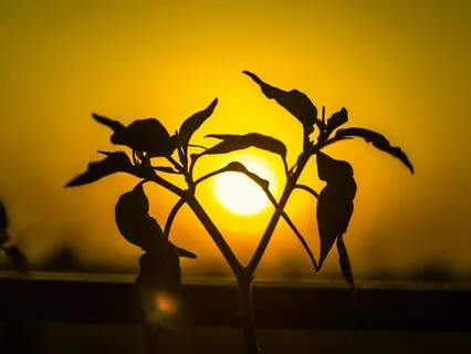 Energy Cleanse And Protection Prayer