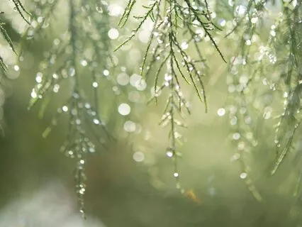 Energy Cleanse: Relax And Unwind After A Busy Day At Work