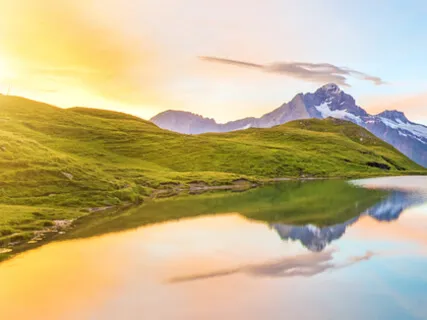 Energy Cleansing & Light Body Activation (Solfeggio Sound Healing Journey By Aluna & Fern Olivia)