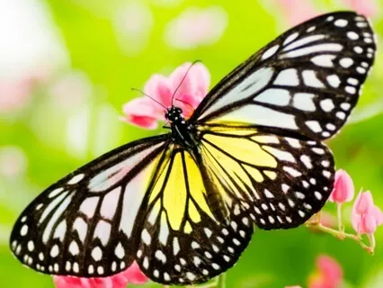 Energy Clearing Meditation: Preparation For Change