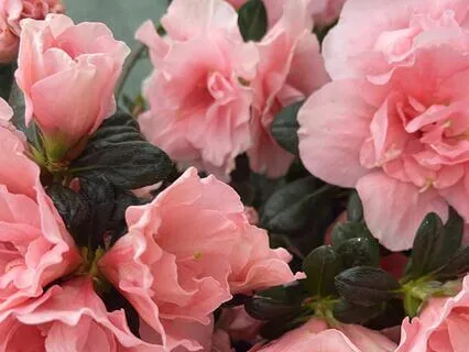 Energy Clearing Meditation