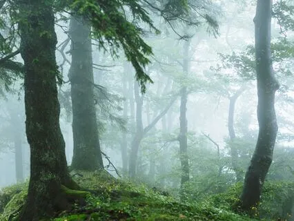 Energy Clearing Meditation