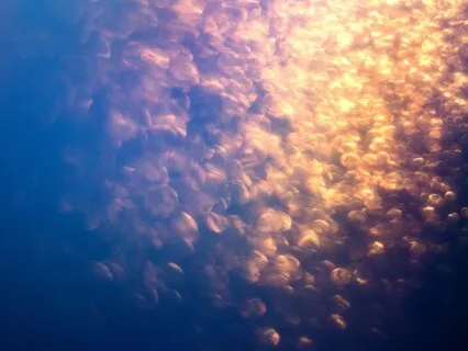 Energy Clearing With The Elements