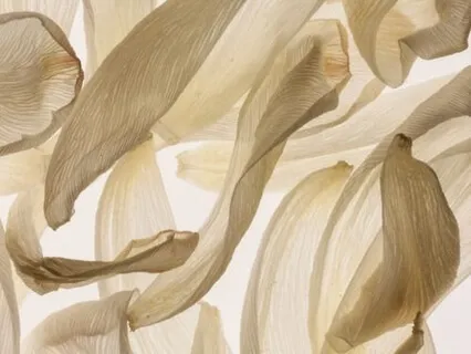 Energy Conscious: Queen Of Cups 1