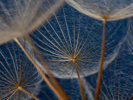 Energy Conscious: The Ace Of Wands