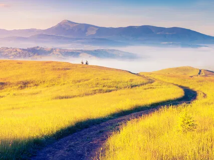 Energy Conscious: The Hierophant