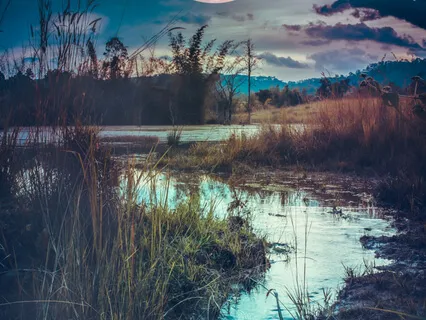 Energy, Consciousness, Psychology & Inner Work | In Conversation With David Hults