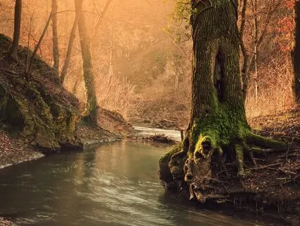 Energy Ease: Stress-Free Recharge