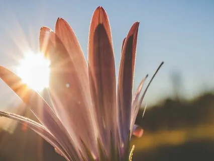 Energy Entrainment - You Are Powerful