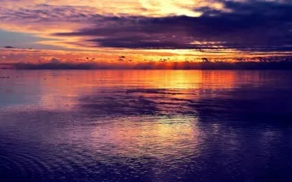 Energy Field Activation