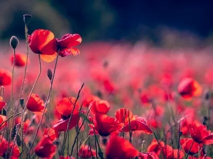 Energy Field Anatomy  | The Kundalini And Multidimensionality  | What Is Consciousness?