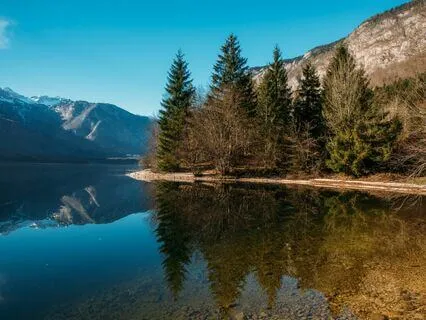 Energy Flow: Stress-Free Vibes