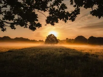 Energy Forecast 2026 - Part 1