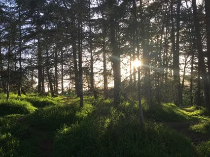 Energy Grounding and Clearing