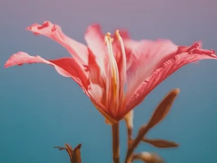 Energy Healing 2020 - Air Signs