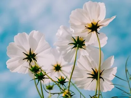 Energy Healing 777Hz